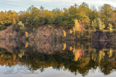 IMG_20241018_104740x