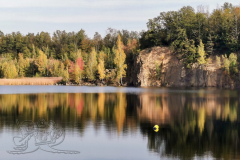 IMG_20241018_104801x