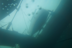 Stockmann-Axel_IMG-20241031-WA0078