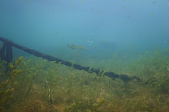 Stockmann-Axel_IMG-20241031-WA0080