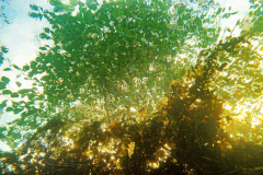 DSC02941x