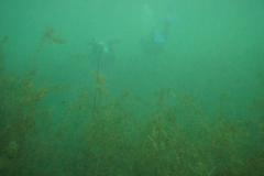 Stockmann-Axel_IMG-20241031-WA0019xx