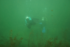 Stockmann-Axel_IMG-20241031-WA0020xx