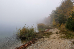 IMG_20241110_111842x