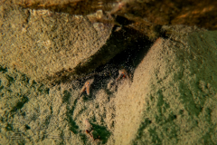 DSC03394x