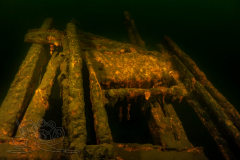 DSC03610x