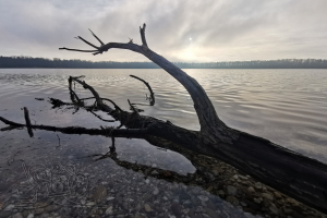 241228 Moritzsee