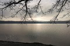 IMG_20241227_142540x