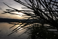 IMG_20241227_144035x