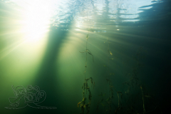 DSC03749x