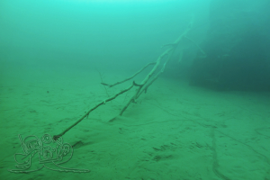 250103 Gewässererkundung