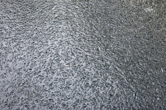 20250122_112018x
