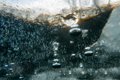 DSC04007x