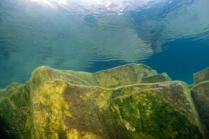 250129 Gewässererkundung