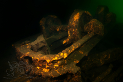 DSC04201x