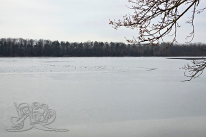 250222 Moritzsee