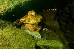 DSC04697x