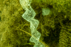 DSC04957x