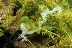 DSC05224x