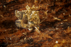 DSC05444x