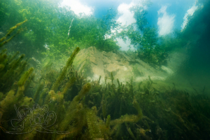 250507 Gewässererkundung