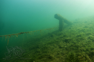 250511 Moritzsee