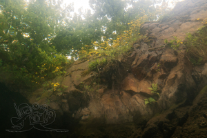 250527 Haselberg