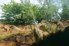 DSC06109x