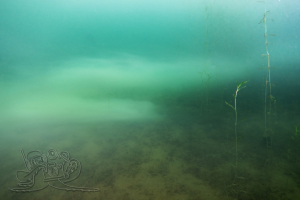 250608 Moritzsee