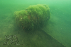 250728 Moritzsee