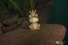 Ronny_DSC3320