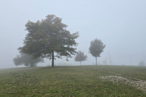 251002 Cospudener See