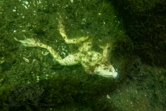 DSC09070x
