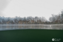 Ronny_DSC3519