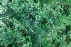 1_DSC09546x