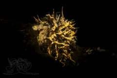 1_DSC09556x