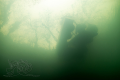 1_DSC09607x