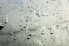 DSC09642x