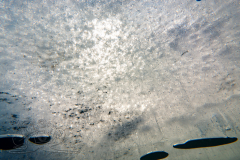 DSC09658x