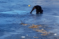 Sven_IMG-20260215-WA0004