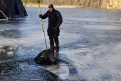 Sven_IMG-20260215-WA0009