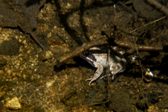 DSC09859x