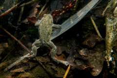 DSC09900x