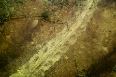 DSC00025x