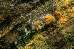 DSC00040x