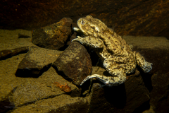 DSC00080x