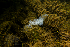 DSC00130x