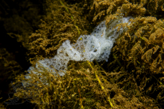 DSC00131x