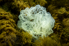 DSC00162x