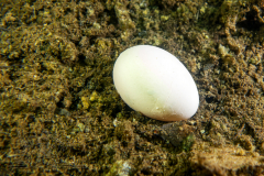 DSC00707x